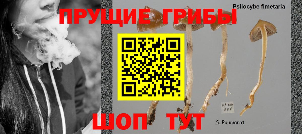 Галлюциногенные грибы прущие грибы Кудымкар