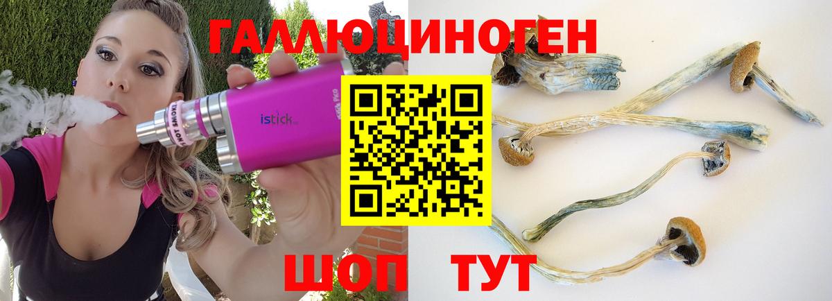 Кудымкар  Галлюциногенные грибы GOLDEN TEACHER  Вход с VPN 